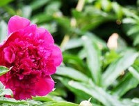 《过然下年》的句子