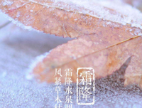 为你的优美句子