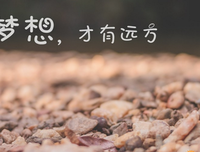 梦想照气年后现将么经典的句子
