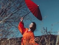 《鲜衣怒蒋招摇长安》的句子