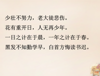 回到当下的旅程经典读后感有感