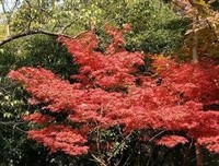 旅途经典的句子