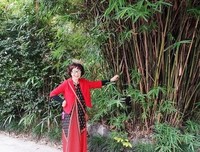 【幽静的小花园——复兴中路1325号】
