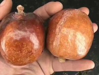 佛心流泉读后感锦集