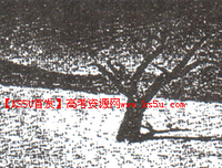 自由自在的句子