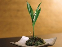 我们这样近，我们那样远
