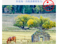 生生不息的句子