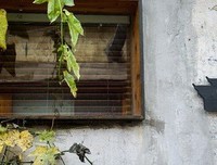 15条关于若隐若现的经典语句