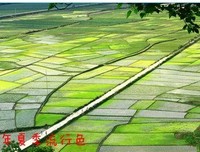 2020夏日流行色，太美了