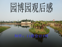 《温室里的加穗子》观后感100字