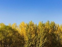 一首经典名句
