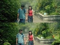 《阳光先生》影评100字