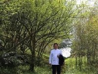 龙隐书院2读后感精选