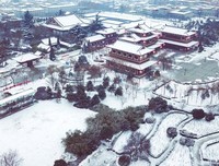 大唐王朝惹了谁读后感1000字