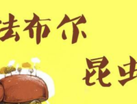 《中国昆虫生态大图鉴》的读后感大全