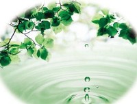 《日本动画的力量》读后感100字