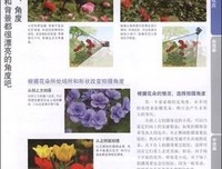 《手把手教你数码摄影》读后感1000字