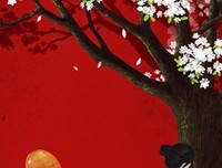 时光若有张不老的脸读后感摘抄