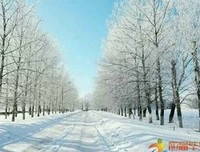 关于来之不易的语句