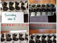 如何看待「你创造你自己的实相」