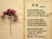 席慕蓉经典的句子