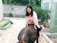 喜欢的经典名句