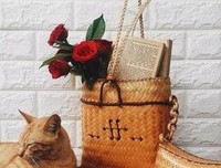 又一季句子大全