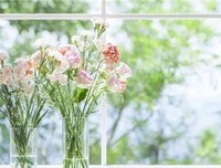 《桃花依旧笑春风》影评精选