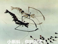 《死寂逃亡》的影评大全