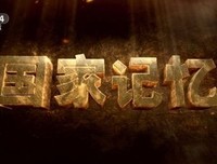 《记忆之夜》的观后感大全