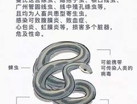 一个人的偏见到底有多可怕？