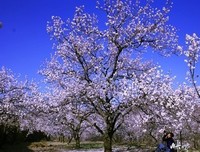 那个小山村