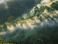 活如阳光之灿烂，生如绿草之茵美