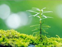 成功，经常青睐那些默默奋斗的人