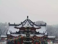 身在娑婆，心系净土
