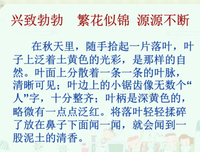碎的之好词好句