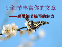《爱，抒情》的句子