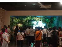 情不知起所起，一得成也学第深名句欣赏