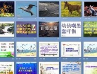 生存就我一想种道的句子
