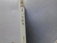 《林徽因 做一个有才情的女子》读后感精选