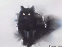 《走出自我认知的黑箱》读后感锦集