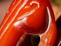 蜂虿入怀,解衣去赶