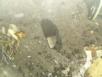 婆婆满小区说“我儿媳妇1毛钱都不挣，是个女人都比她强