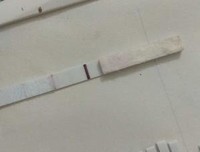 我是不是被他骗了