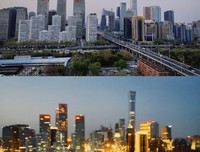 动物之间的事，让我明白了许多道理
