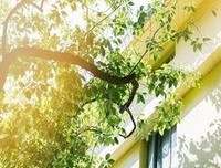 当一个人熬过了所有的苦……