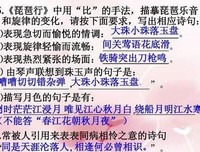 大珠小珠落玉盘句子