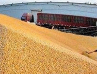 粮价谁决定经典读后感有感