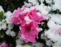 别吵，别打扰，他正哄别人开心呢