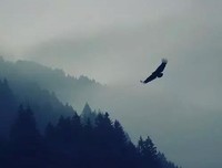 你怎么就会知道我不会雇用你